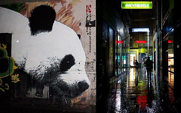 Amy Lieberman West College Scotland Wildlife