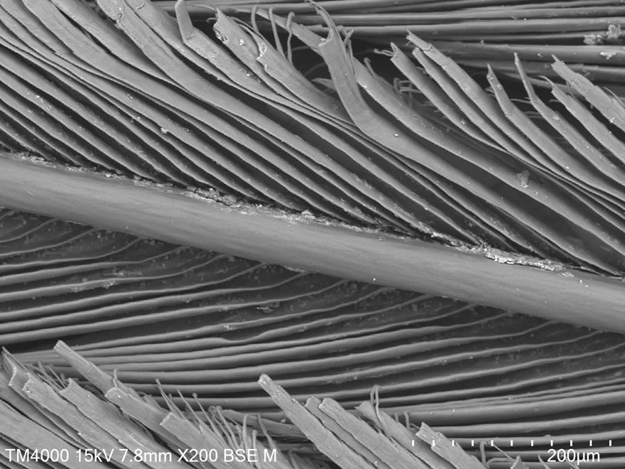 Microsoftteams Image (51) OCT 23